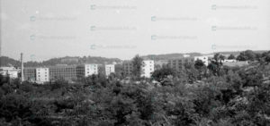 lviv-panorama-11