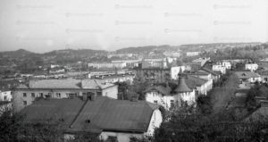 lviv-panorama-22